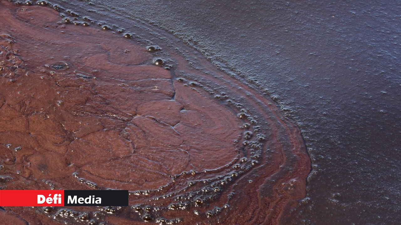 On ne voit plus le fond de la mer. Marée noire