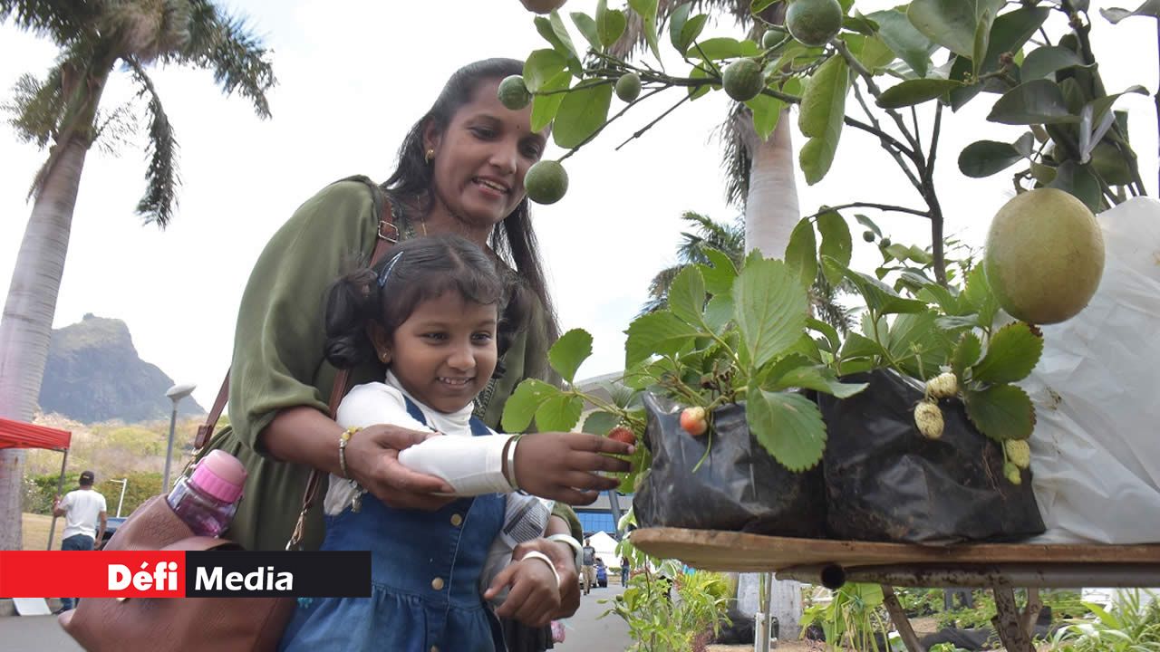Les plantes et arbres fruitiers sont à l’honneur à l’entrée du SVICC.