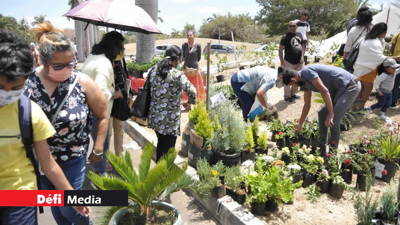 Le public n’a pas pu rester insensible aux plantes.