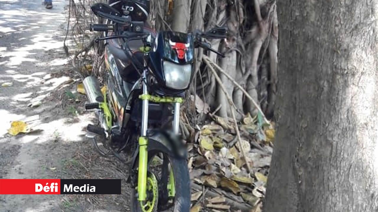 Vols de litchis dans le Nord