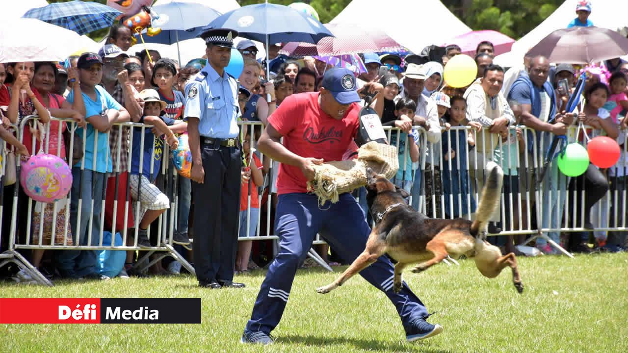 La ‘Dogs Unit’ en action. Kermesse au Gymkhana
