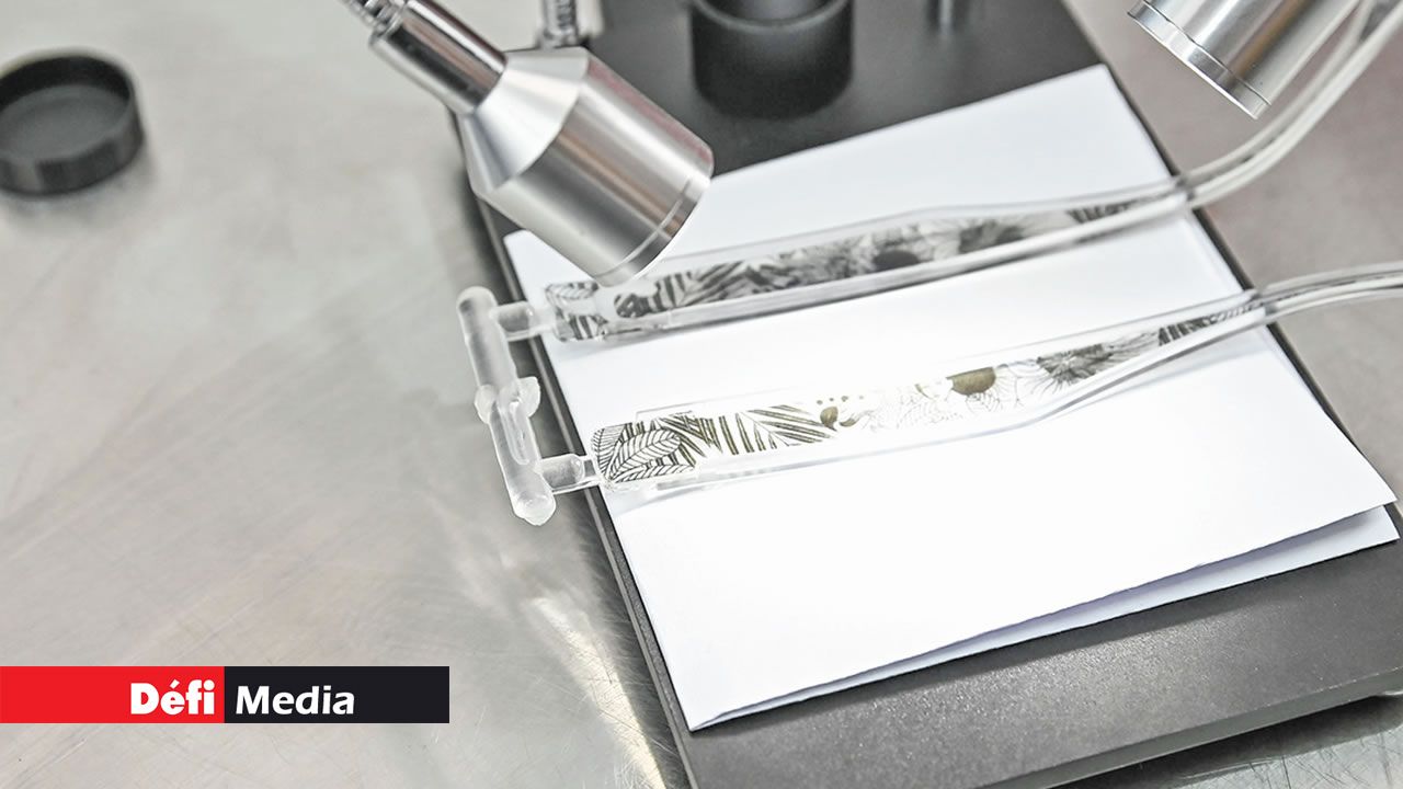 Une fois peintes, les montures sont vérifiées une à une.