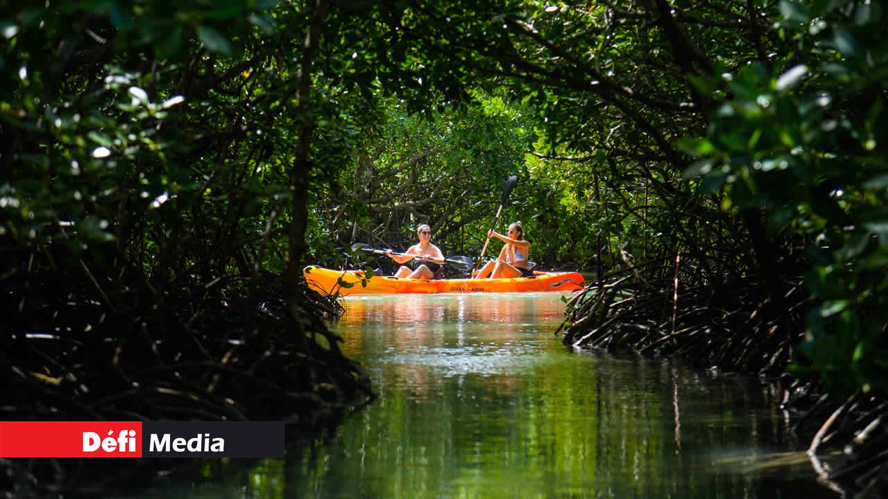 Naviguant à proximité de l’Îlot Maunick, nous nous aventurons même à travers les mangroves.