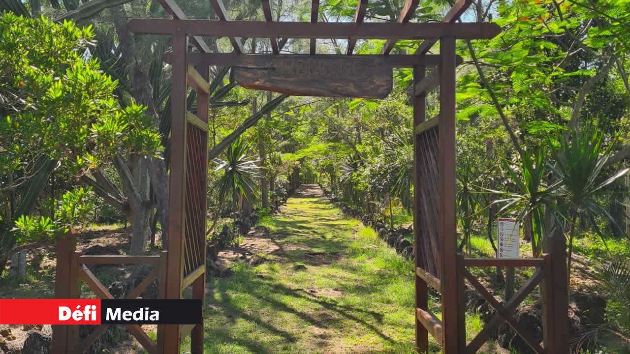 Cap sur l’île d’Ambre.
