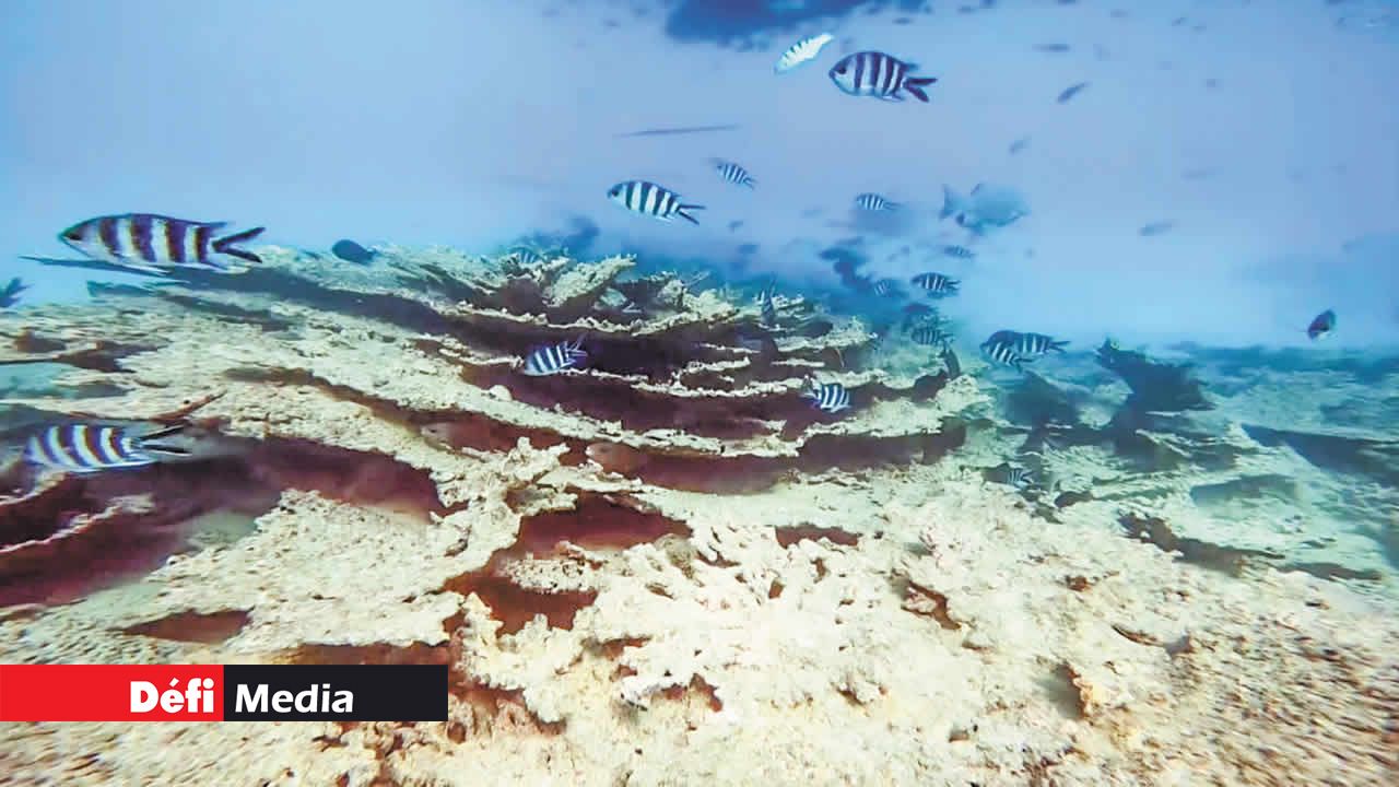 Yuri est convaincu que la moindre action compte.