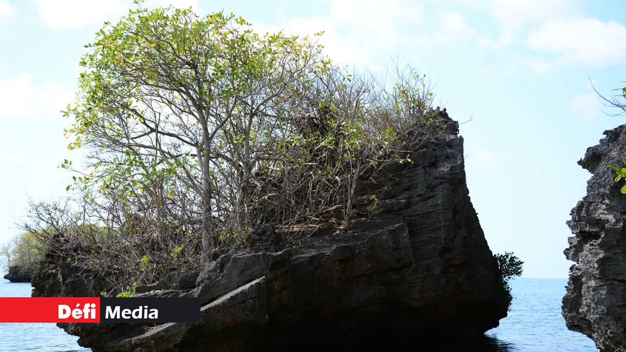 Île aux Singes. Vieux-Grand-Port