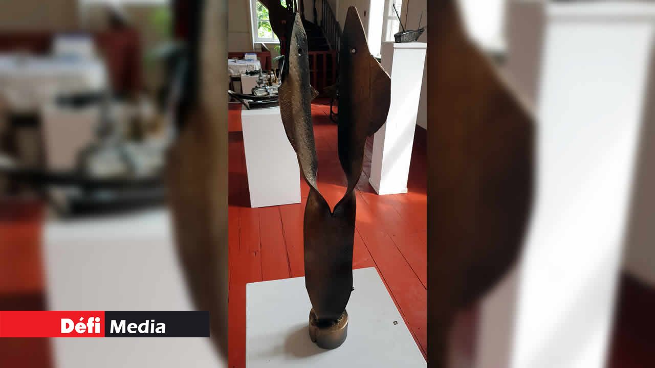 Drol Kreatir, de Jocelyn Louise. Pourtant, cette drôle de créature fascine de par sa finesse… National History Museum