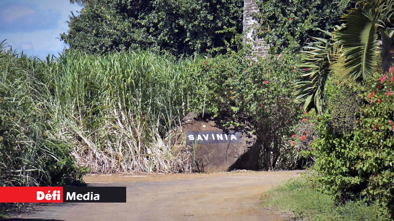 La canne à sucre présente à l’entrée donne déjà un aperçu de ce que renferme le site. Balade