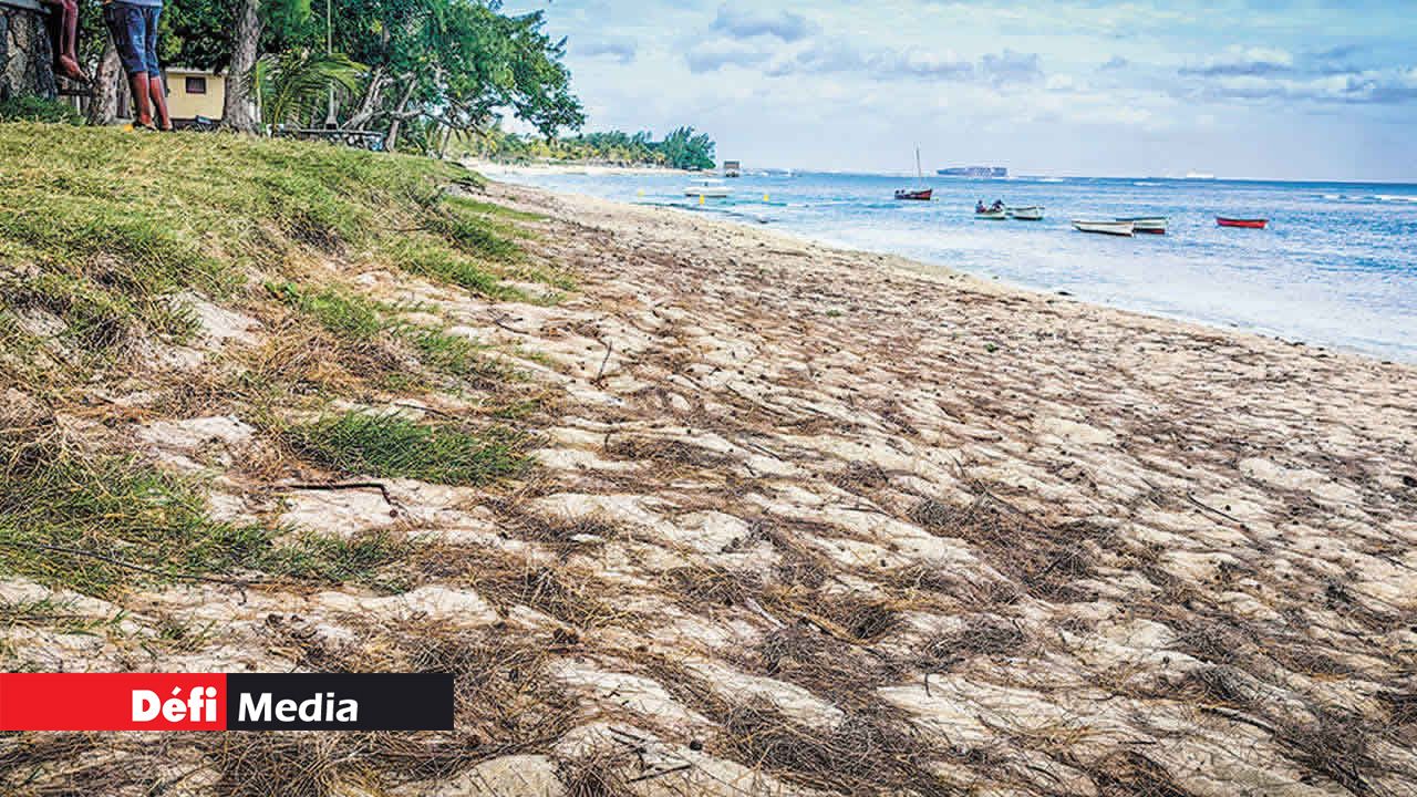 À Balaclava, la plage a été grignotée avec la montée des eaux.
