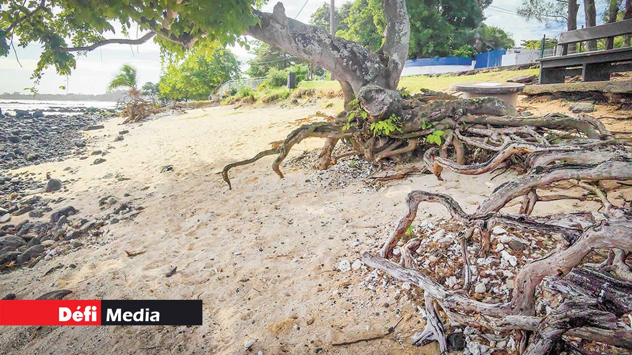 Du côté de Trou-aux-Biches, l’érosion des plages a laissé rochers et racines visibles.