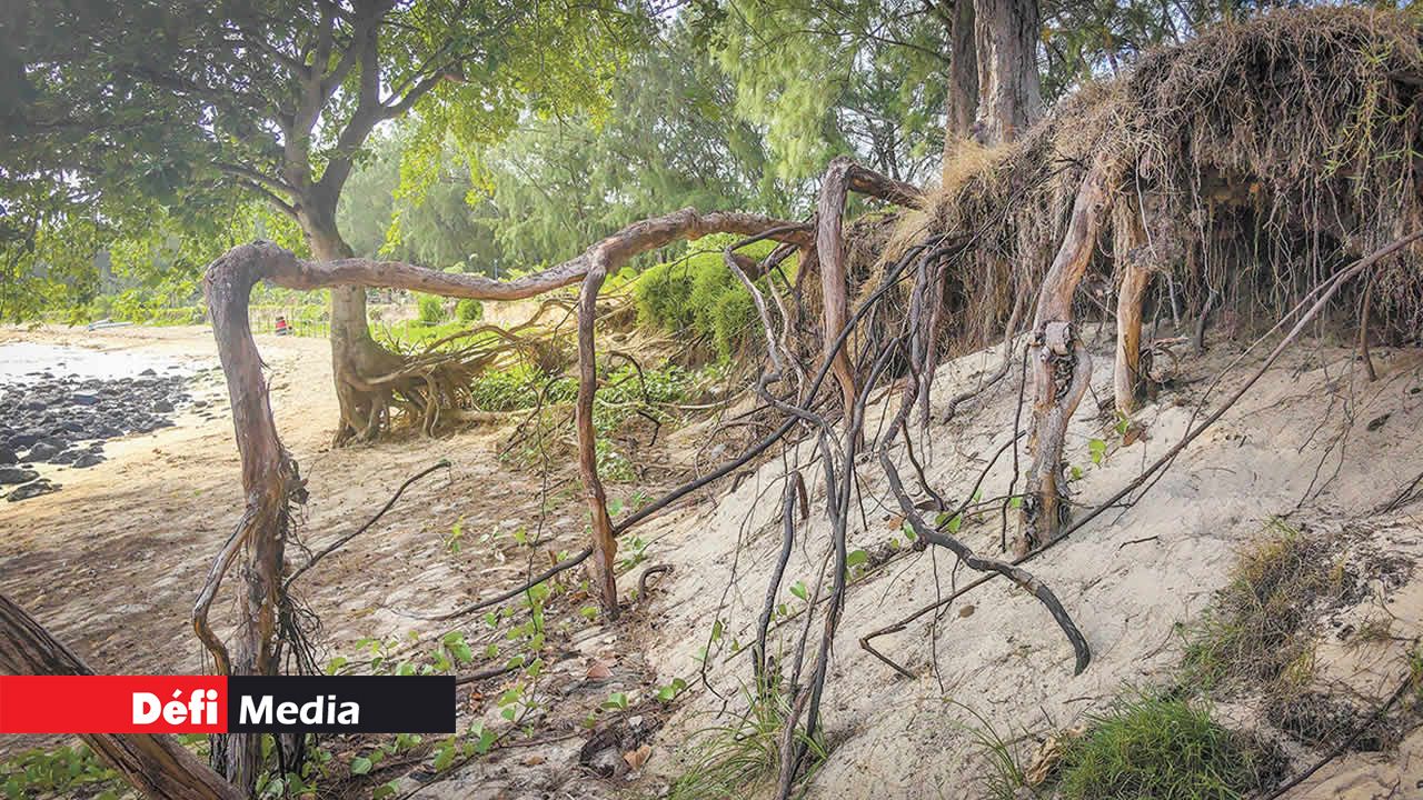 À Mon-Choisy, une bonne partie de la plage a été balayée.