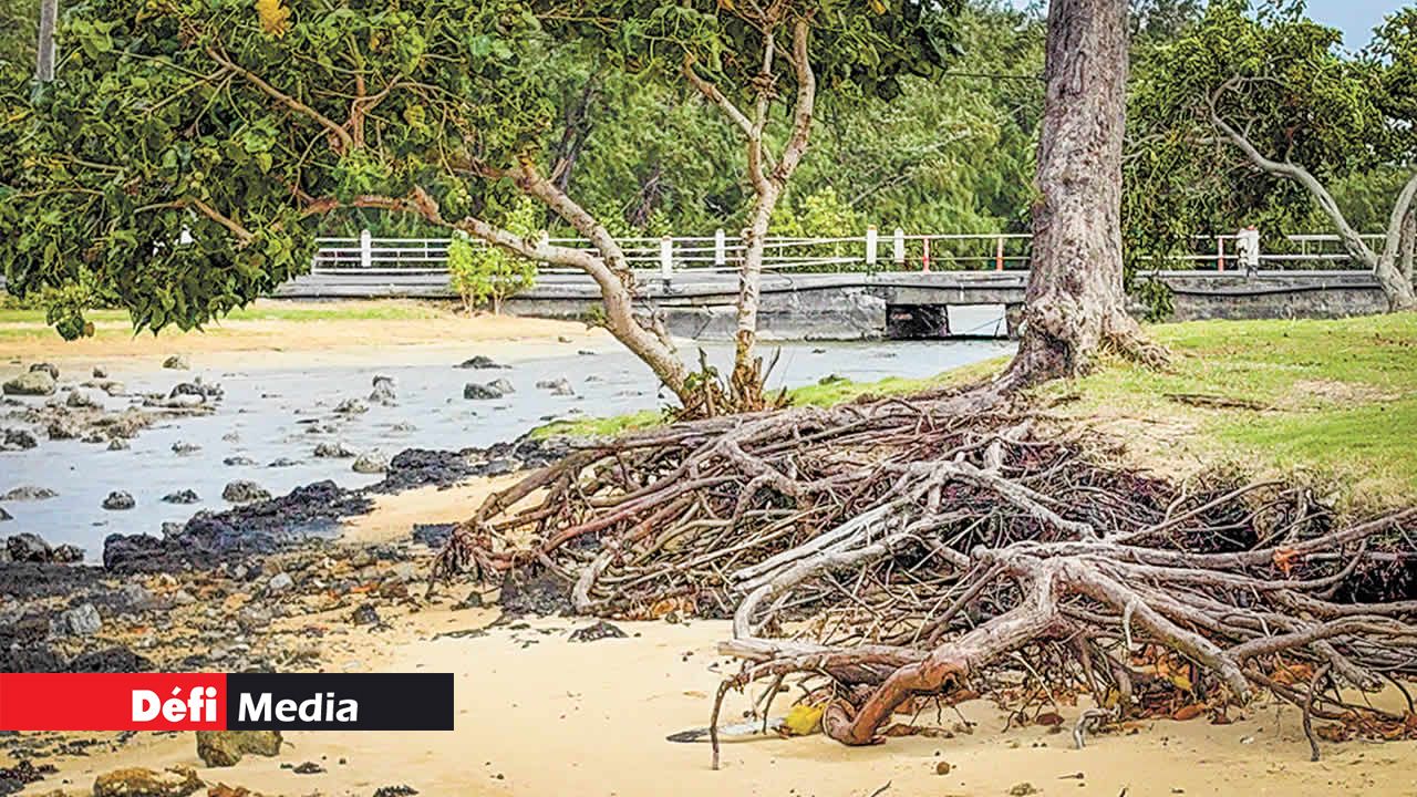 À Anse-la-Raie, la plage a subi une érosion préoccupante ces dernières années.