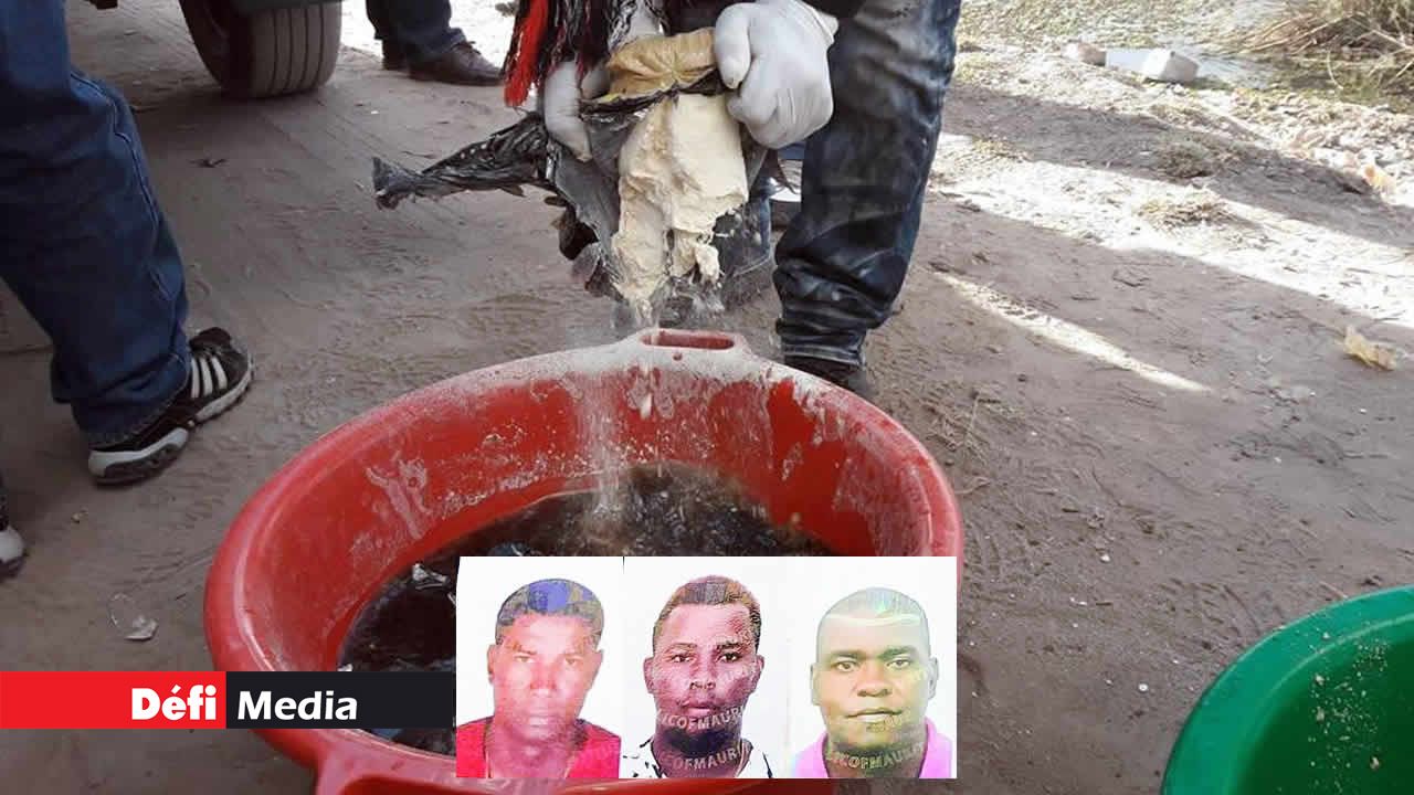 Jules Roddy Avoula, Jeremy Mardochee Leratz et Marc David Plaiche