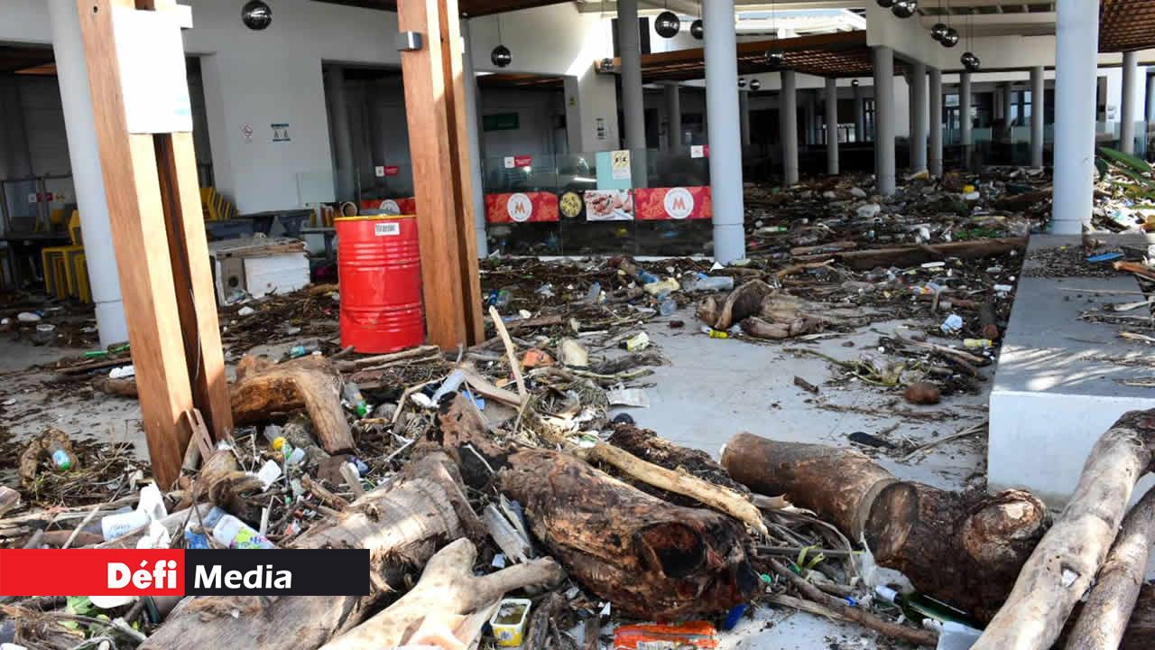De grosses branches attendent d’être enlevées.