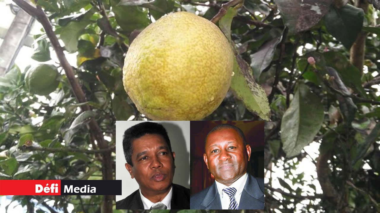 Nicolas von Mally  et Francisco François.