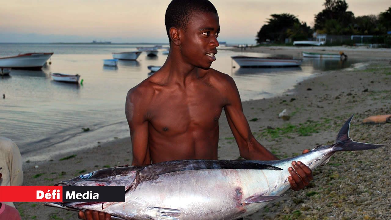 La moisson a été bonne. pêcheur