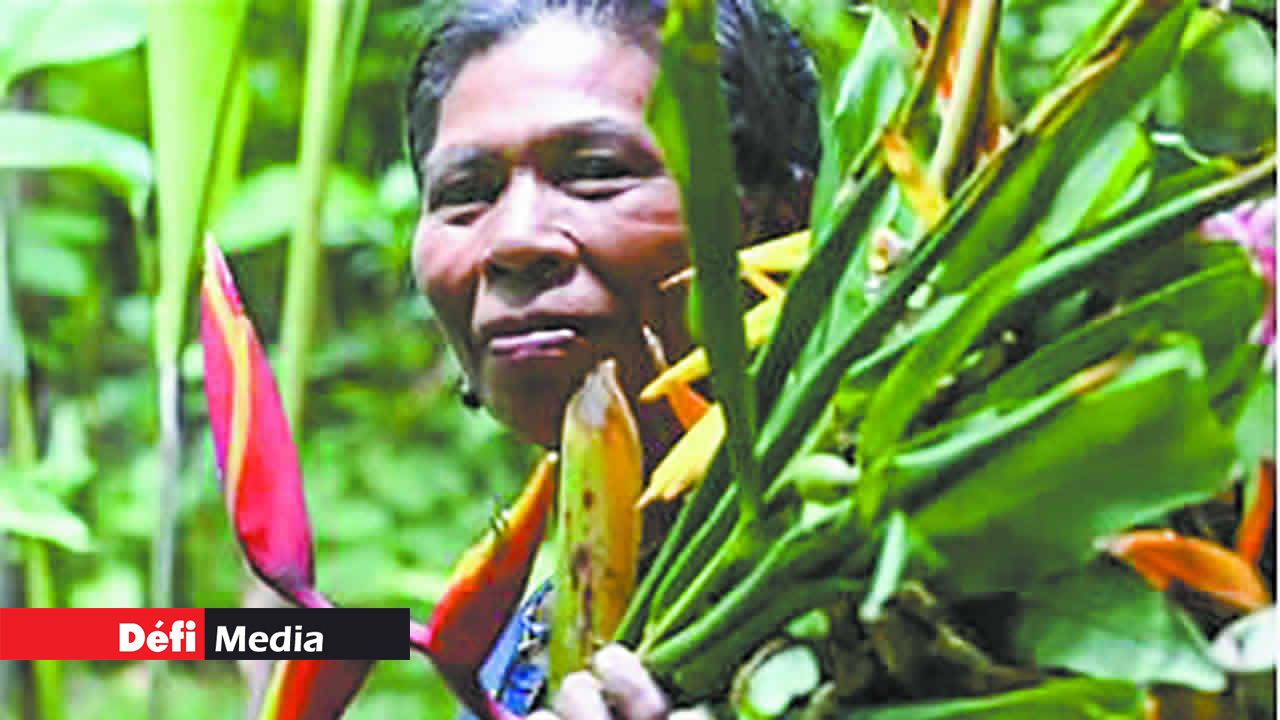 Le Costa Rica abrite des communautés indigènes comme les groupes BriBri et Boruca.