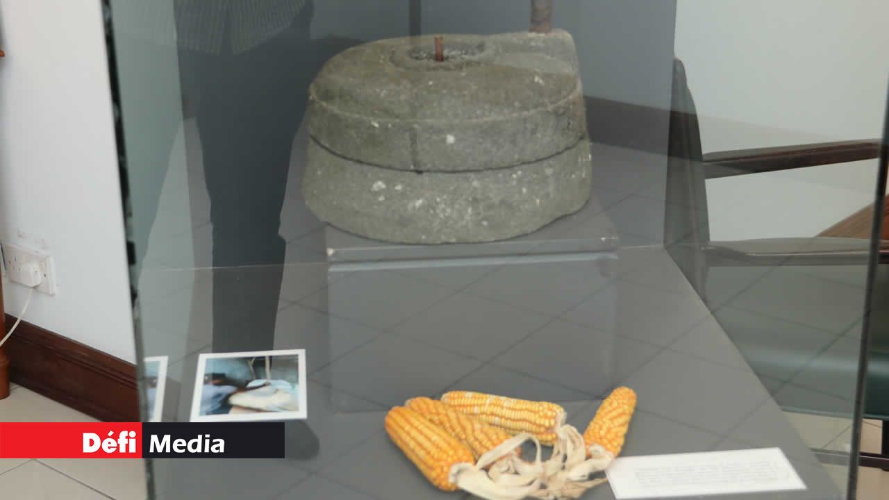 Le maïs est l’un des aliments incontournables du pays. Rodrigues