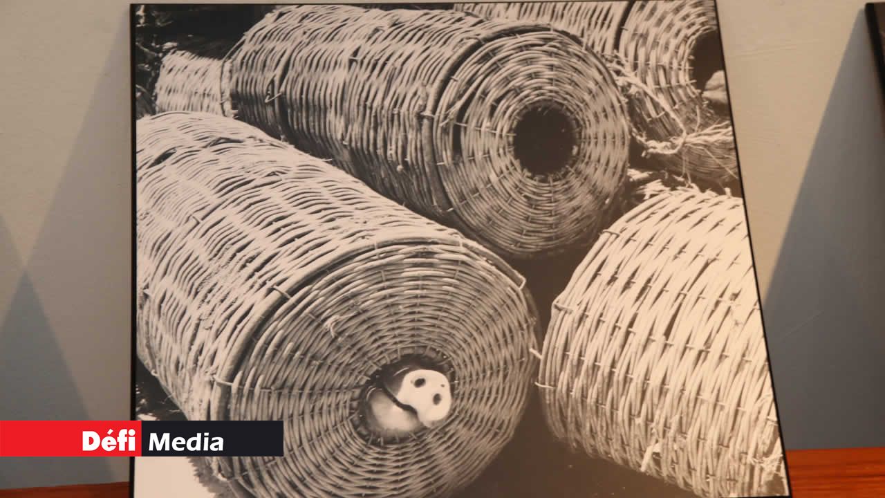 Les paniers portés par les pêcheurs faits de feuilles de Vacoas. Rodrigues