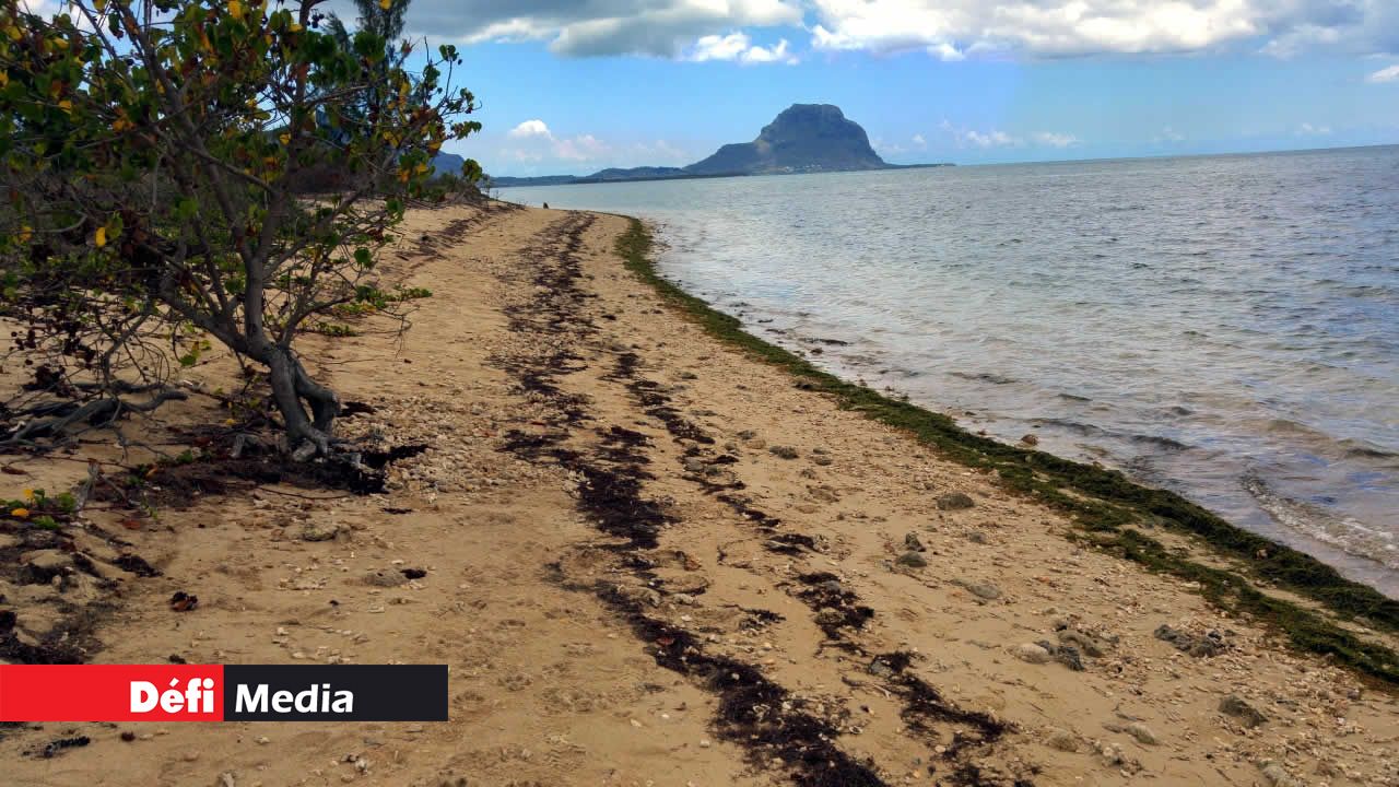 Petite-Rivière-Noire