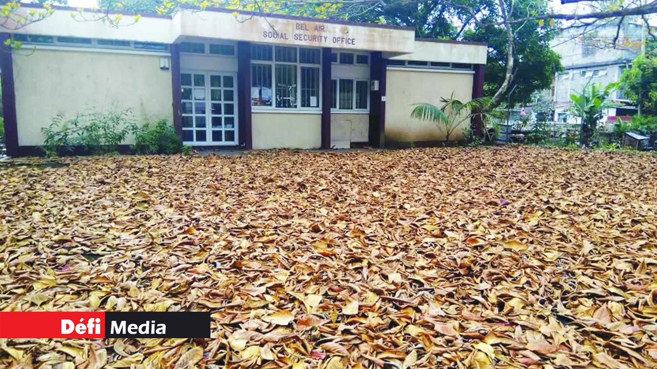 Des ordures et des feuilles mortes entassées sur un terrain privé à Bel-Air-Rivière-Sèche.