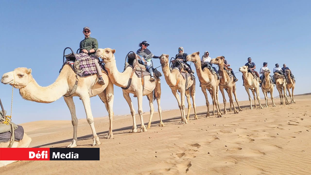 La traditionnelle balade à dos de chameau, véritable attraction sur la côte ouest.