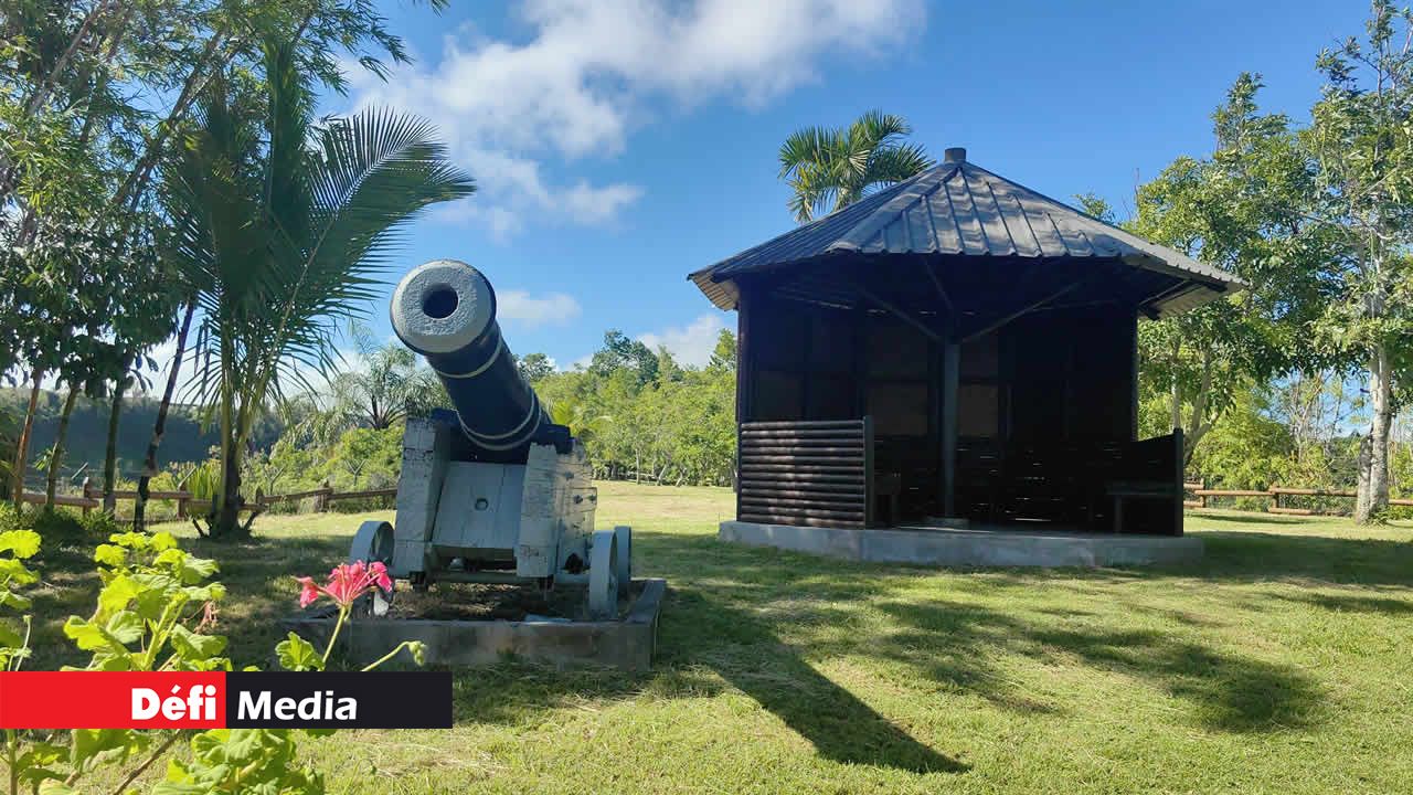 À la sortie du château, une forêt d’arbres centenaires s’élève, tels des colosses du temps. Ils enveloppent le domaine d’un manteau de mémoire et de silence, comme les gardiens d’un passé toujours vivant.
