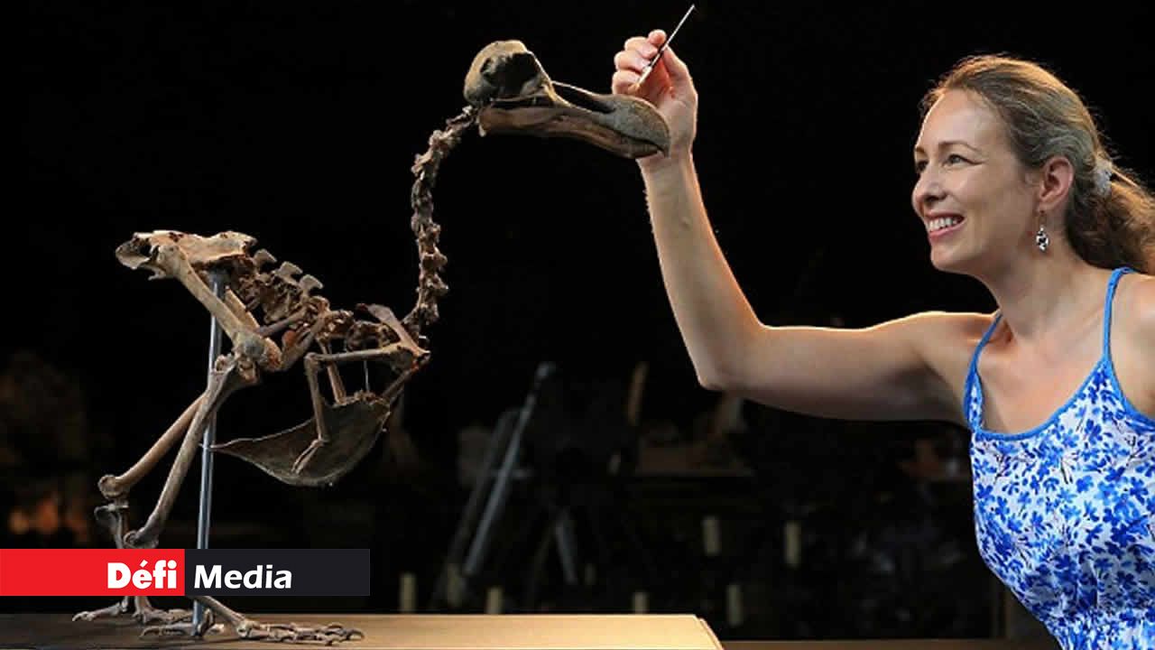 Une employée de la Summers Place Auctions préparant la pièce pour la vente.