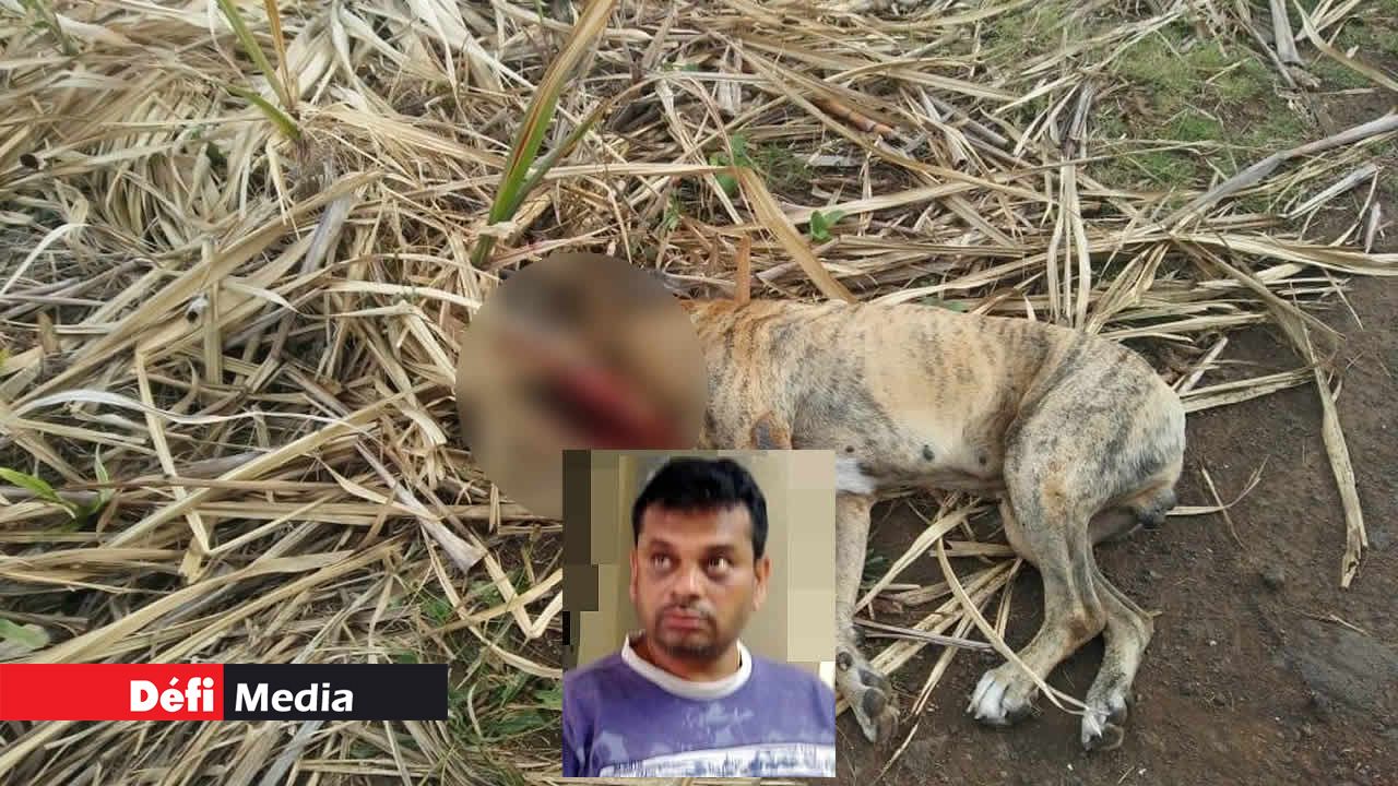 L’accusé Jeetsing G.