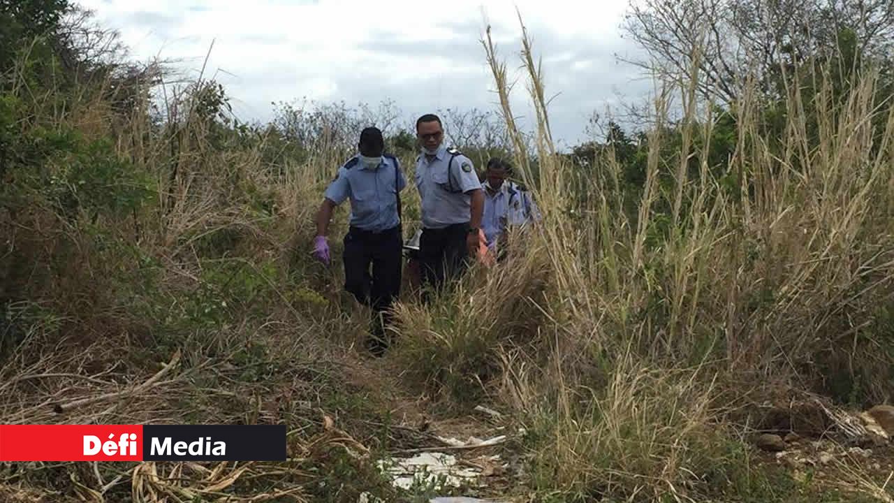 Un corps démembré découvert par des randonneurs 