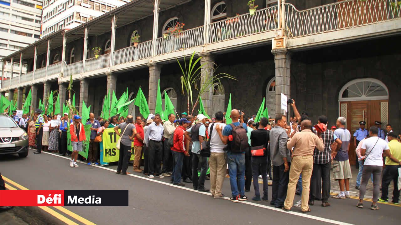 Mouvement Ti-planteurs Cannes