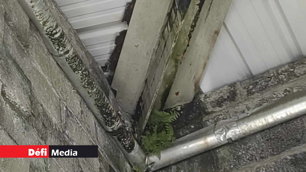 Dans les coins où les structures en fer se rejoignent, des arbustes commencent à prendre racine, favorisant la moisissure.