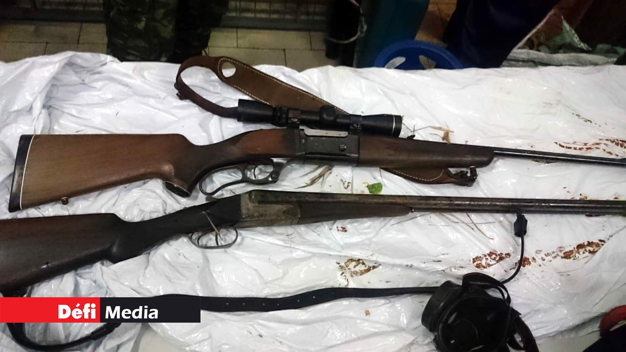 deux fusils et des cartouches de munitions