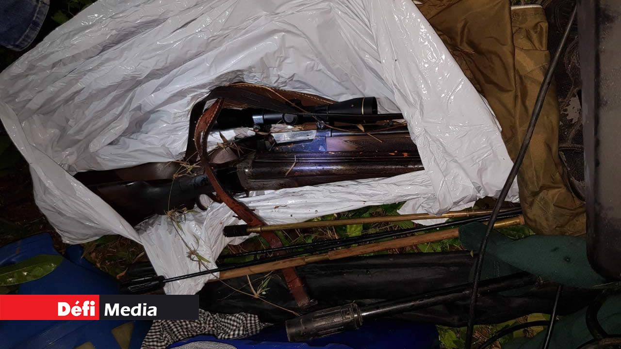 deux fusils et des cartouches de munitions