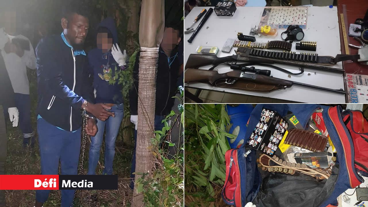 deux fusils et des cartouches de munitions