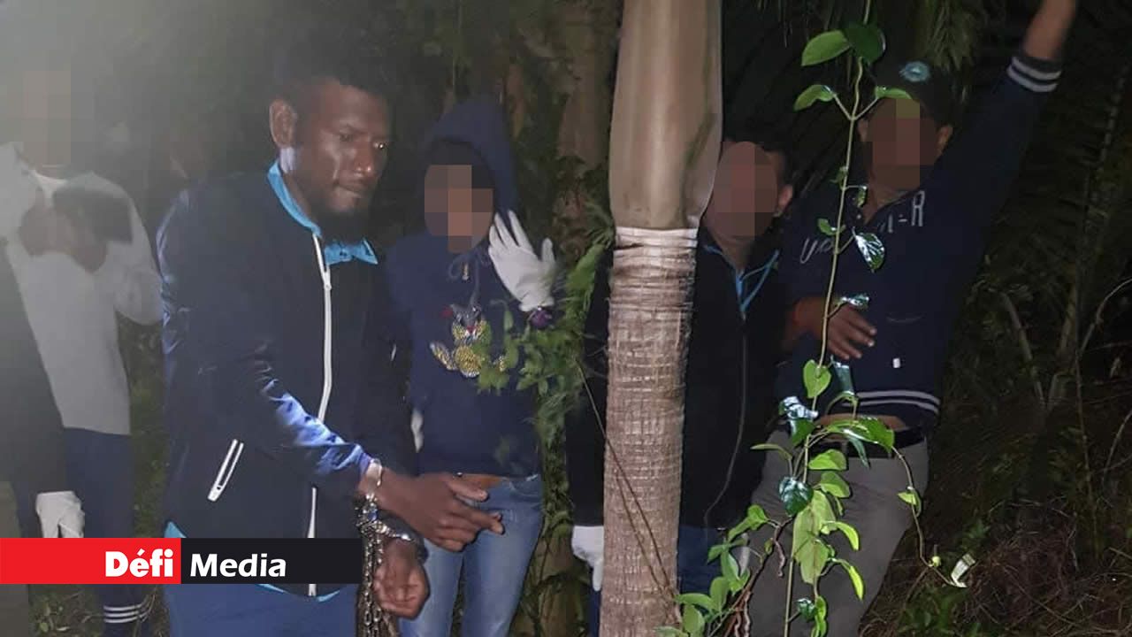 deux fusils et des cartouches de munitions