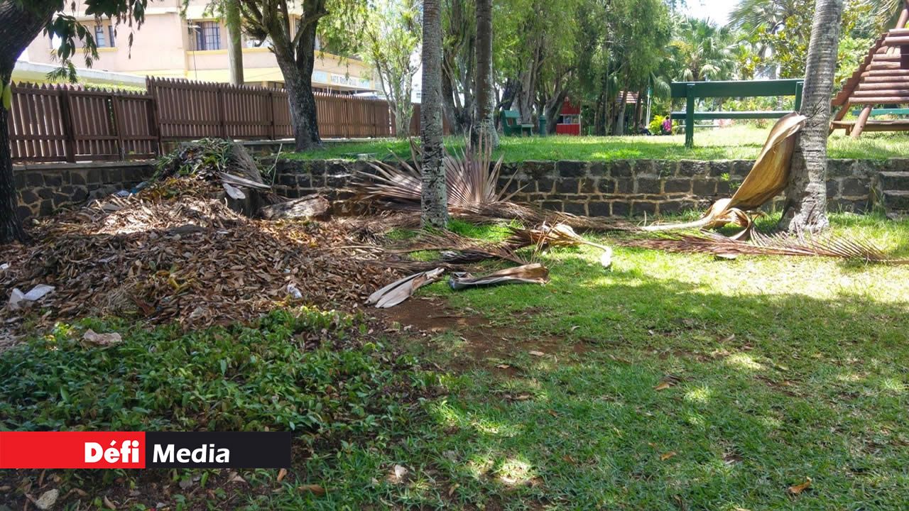 Entassement de feuilles ou de matériaux de construction dans l’enceinte du jardin.