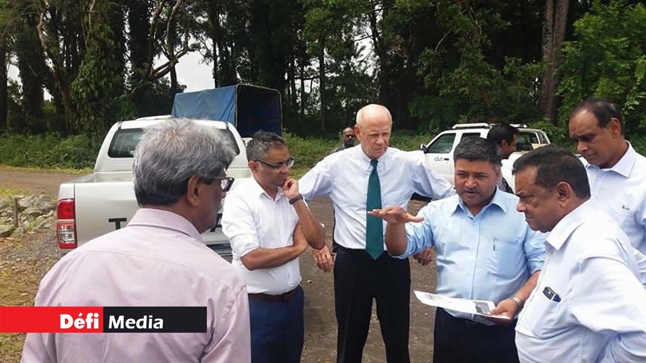 La plantation des arbres