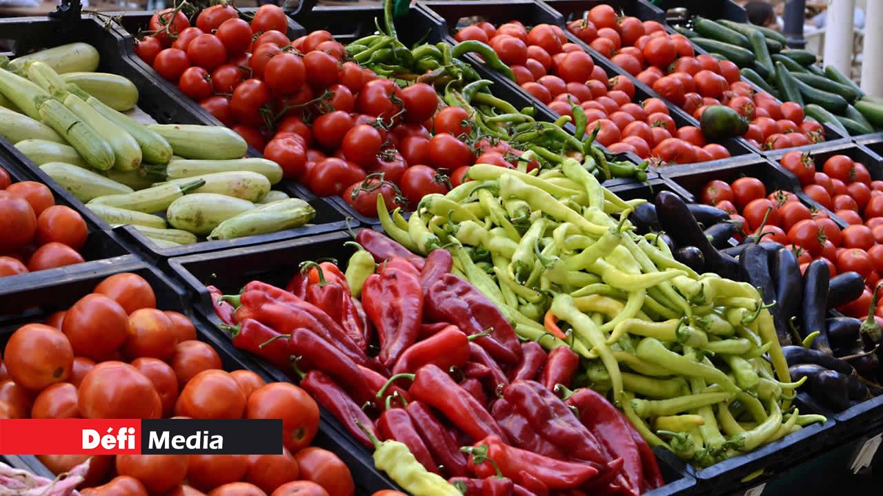 La production légumière