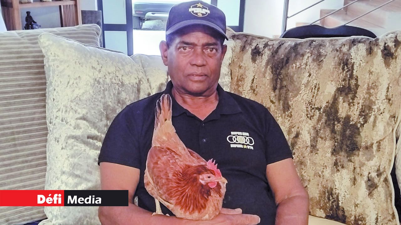 Robert et Piou-Piou sont très complices.