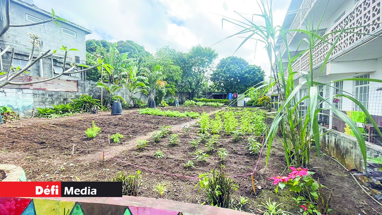 L’institution s’engage dans des causes environnementales.