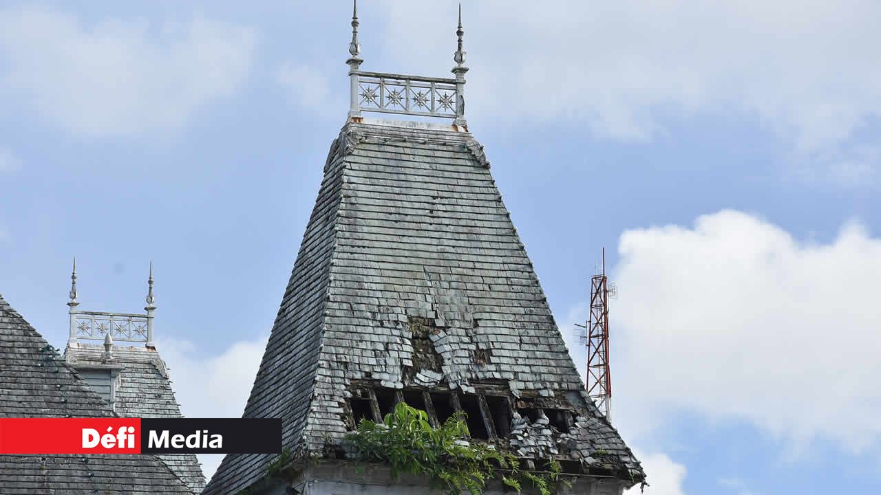 Comment résister aux plantes invasives et à la moisissure dans le climat pluvieux de la ville Lumière? Hôtel de ville de Curepipe