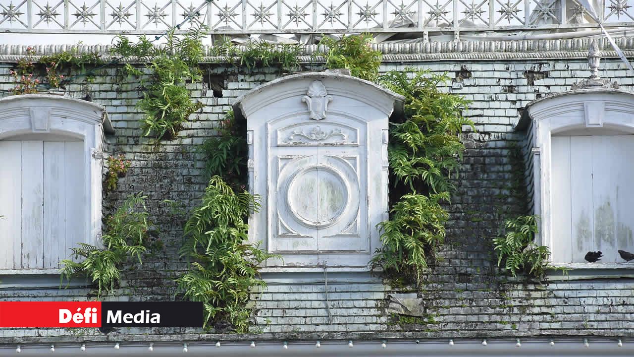 C’est la jungle : les tuiles de teck sont envahies par les herbes. Hôtel de ville de Curepipe