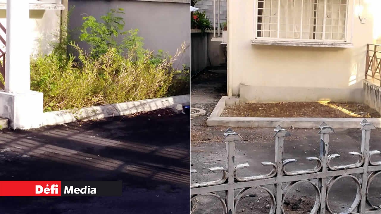 cour du bureau du Travail 