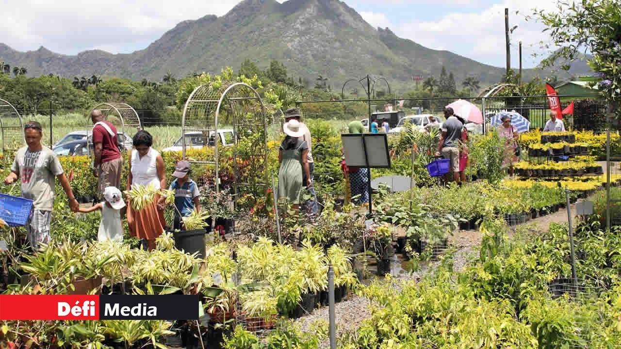 Le public pourra bénéficier de conseils de professionnels.