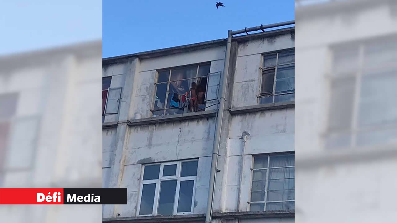 Rapport de la CDU : les enfants exposés aux excréments d’animaux dans leur maison