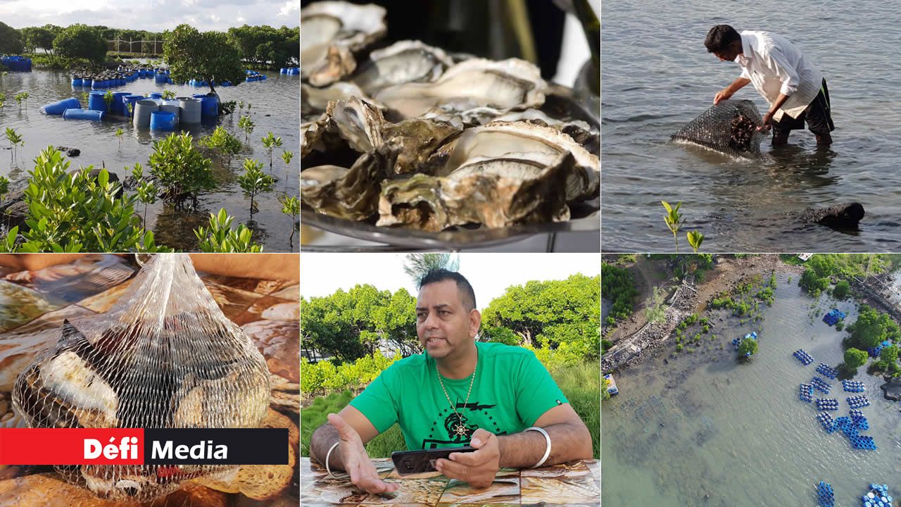 Éleveur d’huîtres