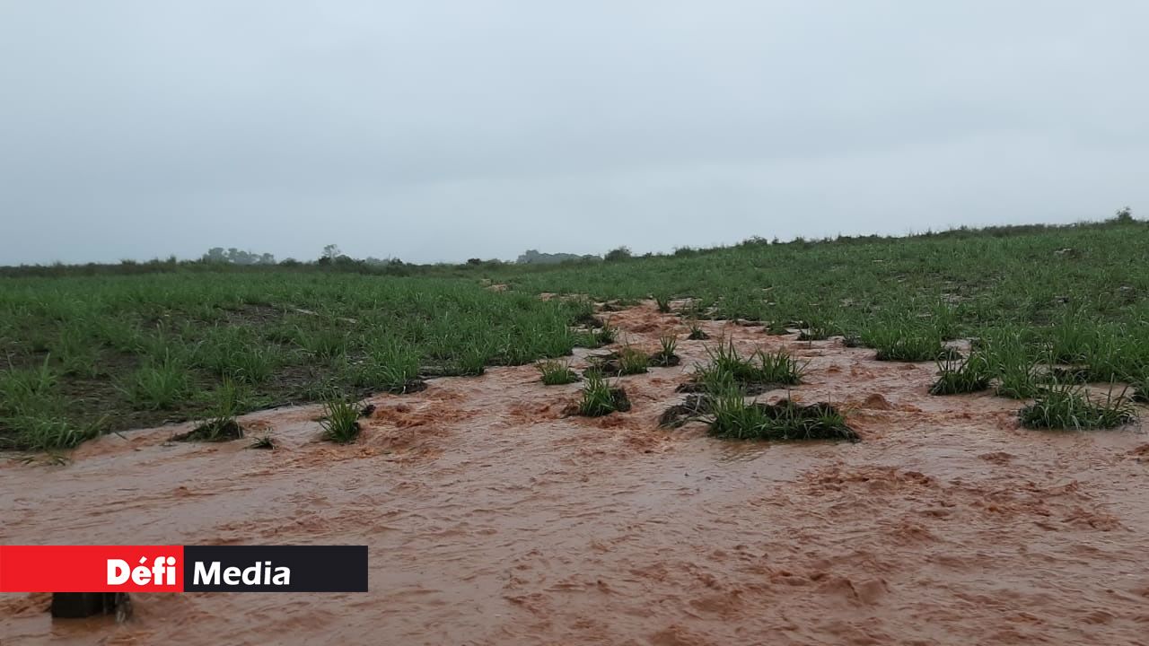 Pluies torrentielles : des torrents d’eau boueuse envahissent des routes à Albion et Gros Cailloux