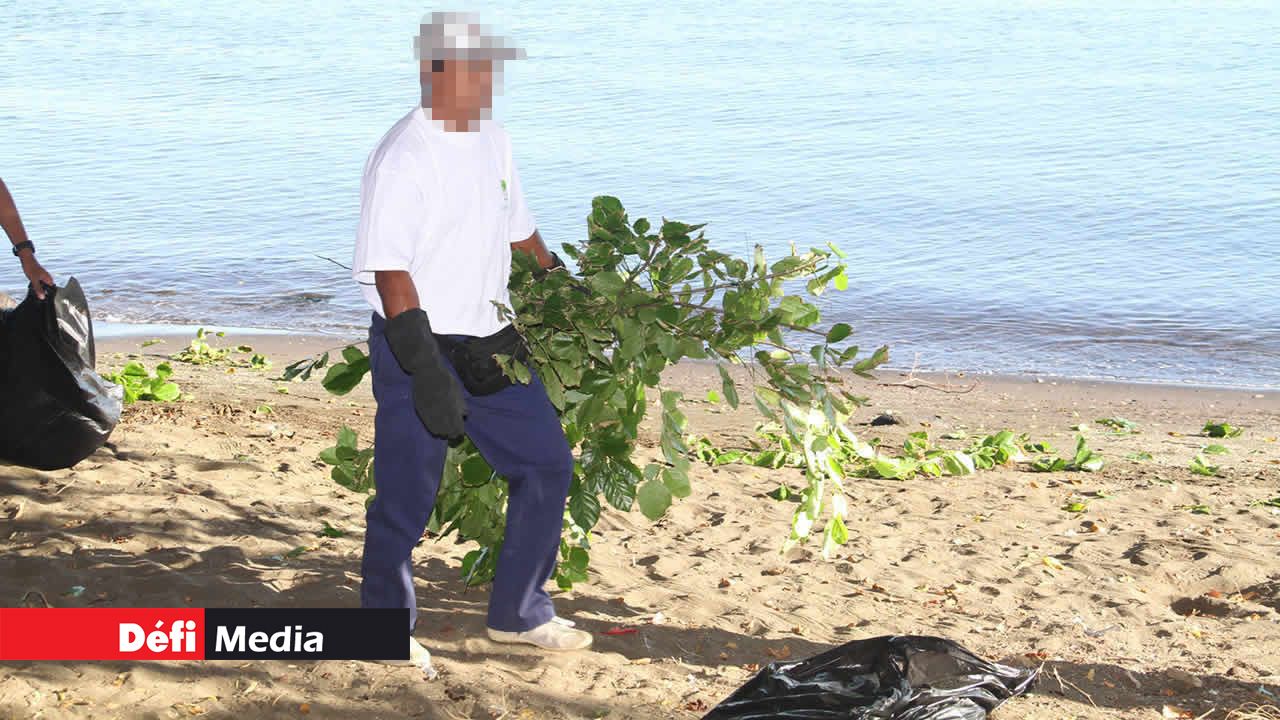 Entretien des plages publiques