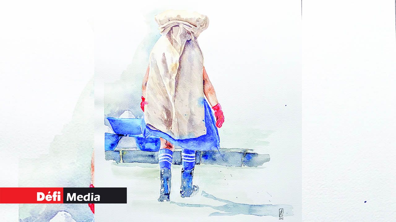 FCerafinn : Saltpans Tamarin